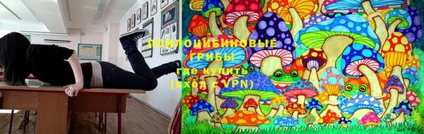 мяу мяу мука Белокуриха