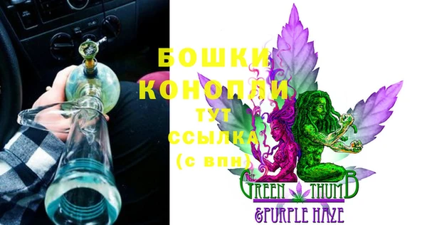 мяу мяу мука Белокуриха
